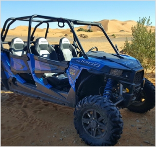 Sahara Desert Activities