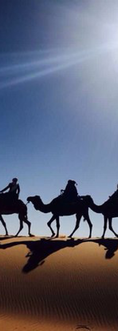 Activities in Morocco