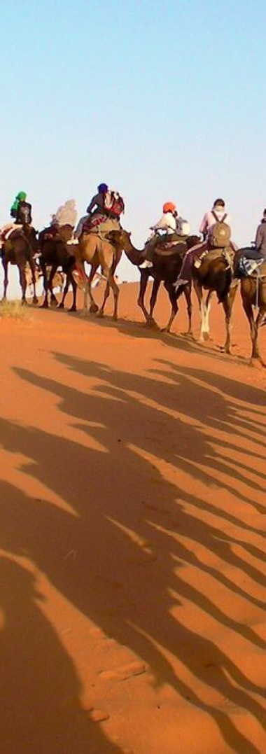 Activities in Morocco