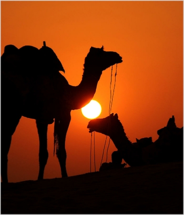 Activities in Morocco