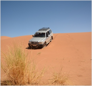 Sahara Desert Activities