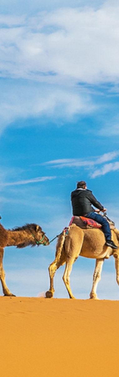 Tours from Marrakesh