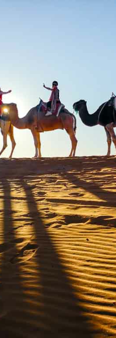Tours from Marrakesh