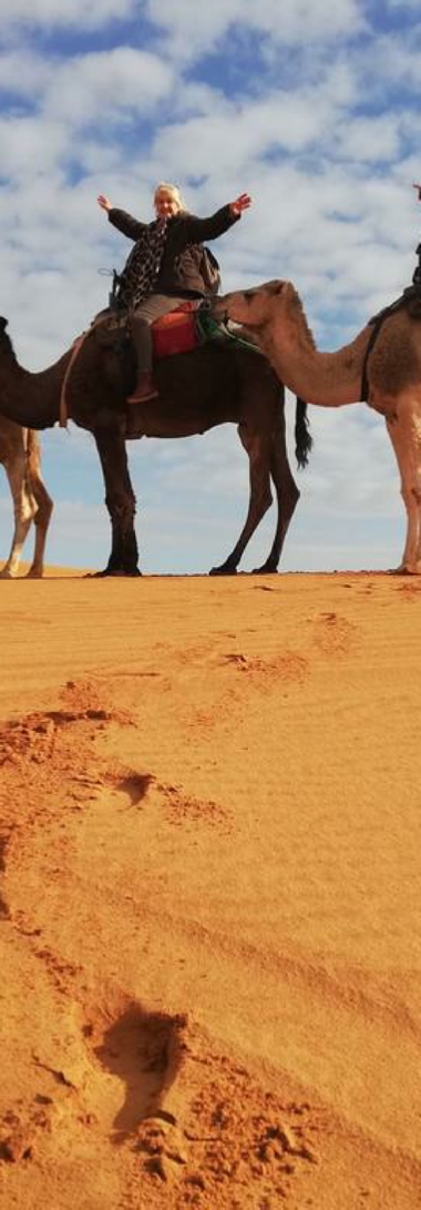 Tours from Marrakesh