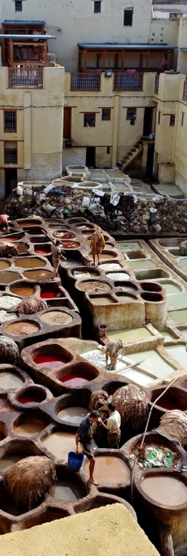 Tours from Marrakesh