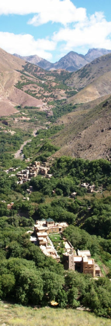 Day Trip from Marrakesh