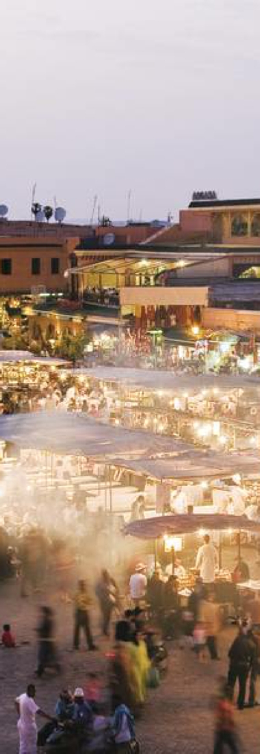 Day Trip from Marrakesh