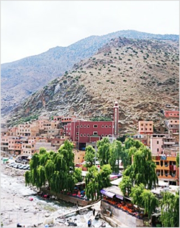 Day Trip from Marrakesh
